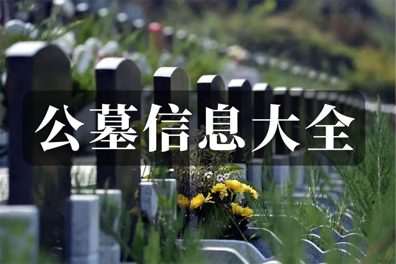 Ĺѯ绰Ĺ۸ʲôӰ