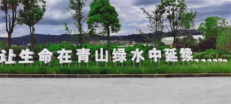 鰲ļ԰