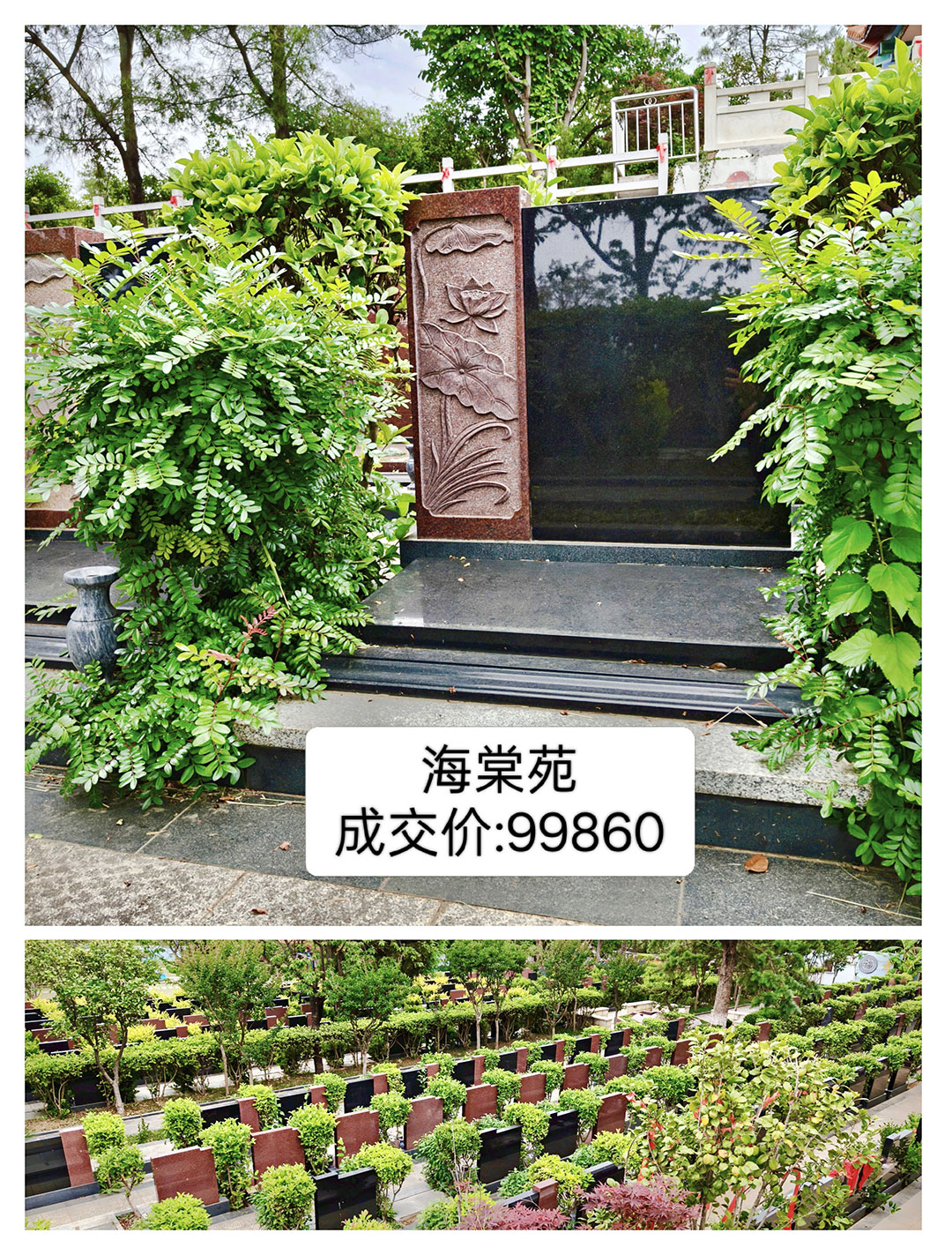 <span class=keyword><a href=http://www.kmbz.com.cn/jlgm.asp target=_blank>깫Ĺ</a></span>Է ɽ:99860