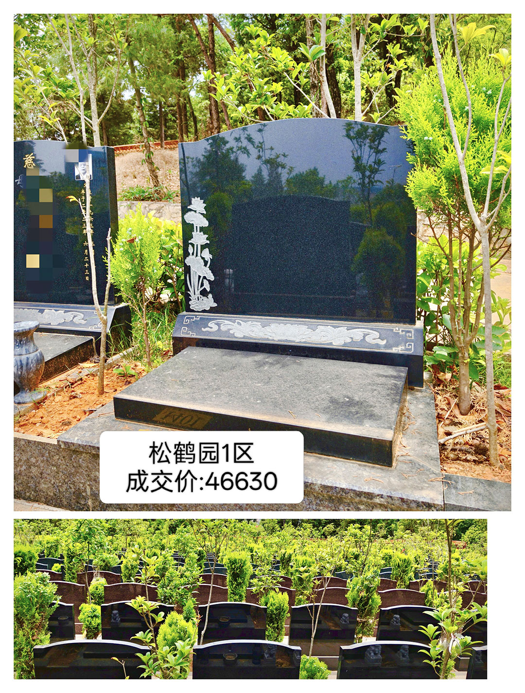 <span class=keyword><a href=http://www.kmbz.com.cn/jlgm.asp target=_blank>깫Ĺ</a></span>ɺ԰1 ɽ:46630