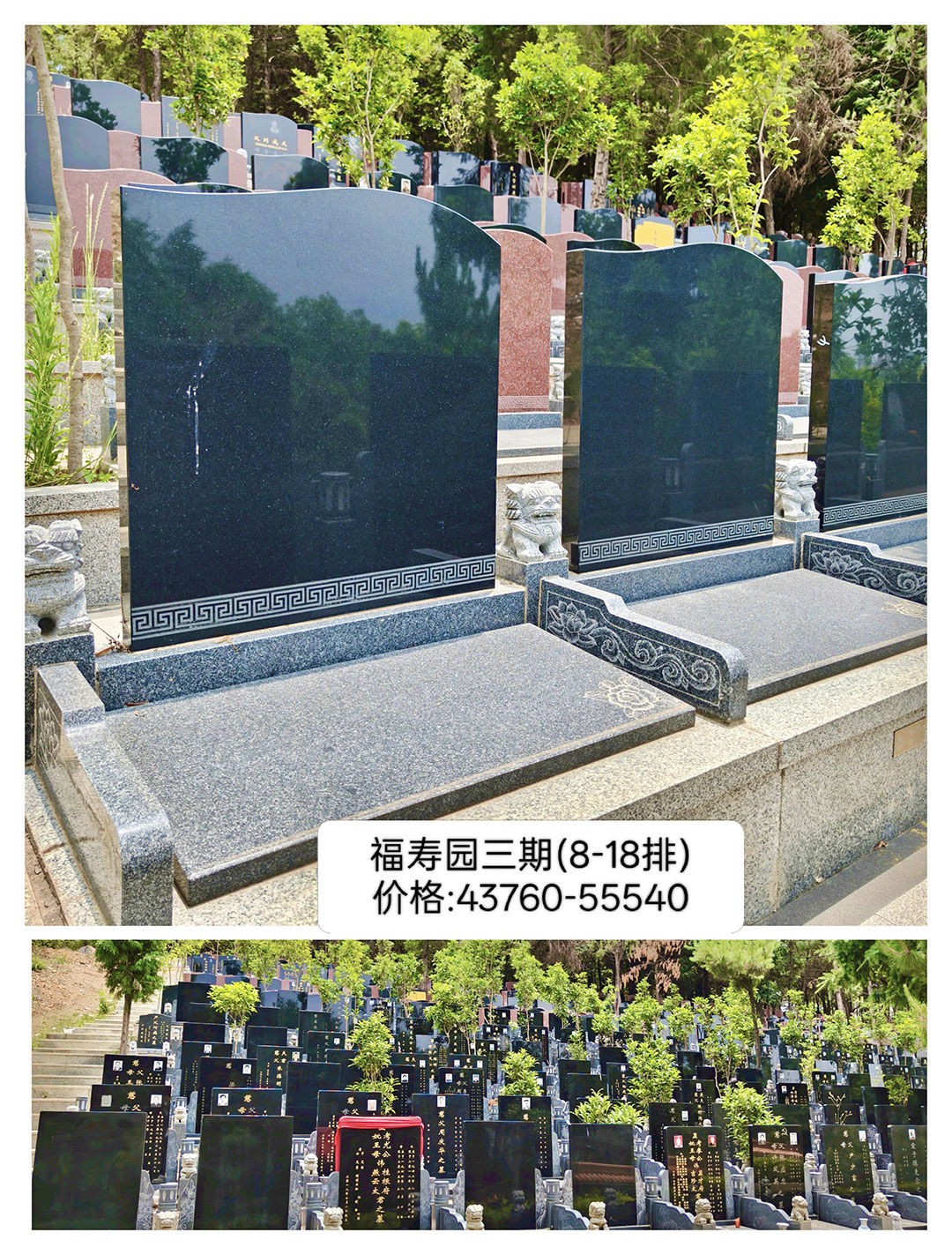 <span class=keyword><a href=http://www.kmbz.com.cn/jlgm.asp target=_blank>깫Ĺ</a></span>԰ڣ8-18ţ ۸:43760-55540
