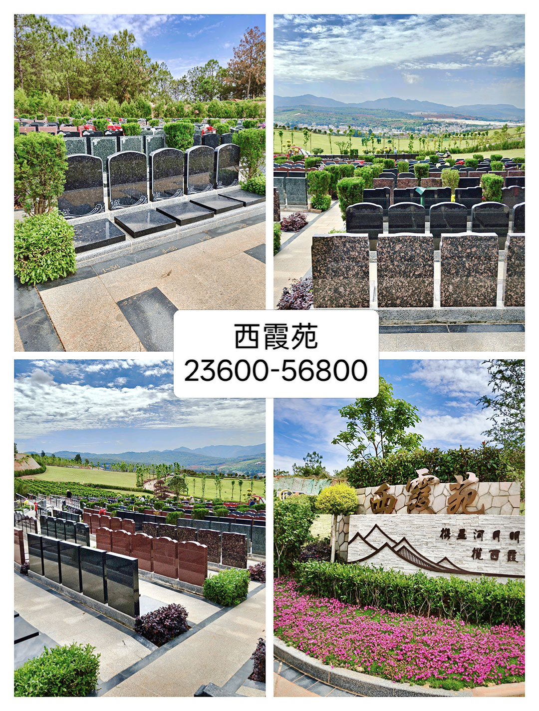 <span class=keyword><a href=http://www.kmbz.com.cn/xaygm.asp target=_blank>鰲԰</a></span>ϼԷ ۸:23600-56800